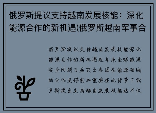 俄罗斯提议支持越南发展核能：深化能源合作的新机遇(俄罗斯越南军事合作)