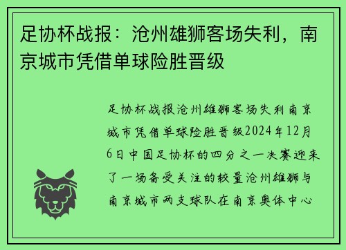 足协杯战报：沧州雄狮客场失利，南京城市凭借单球险胜晋级